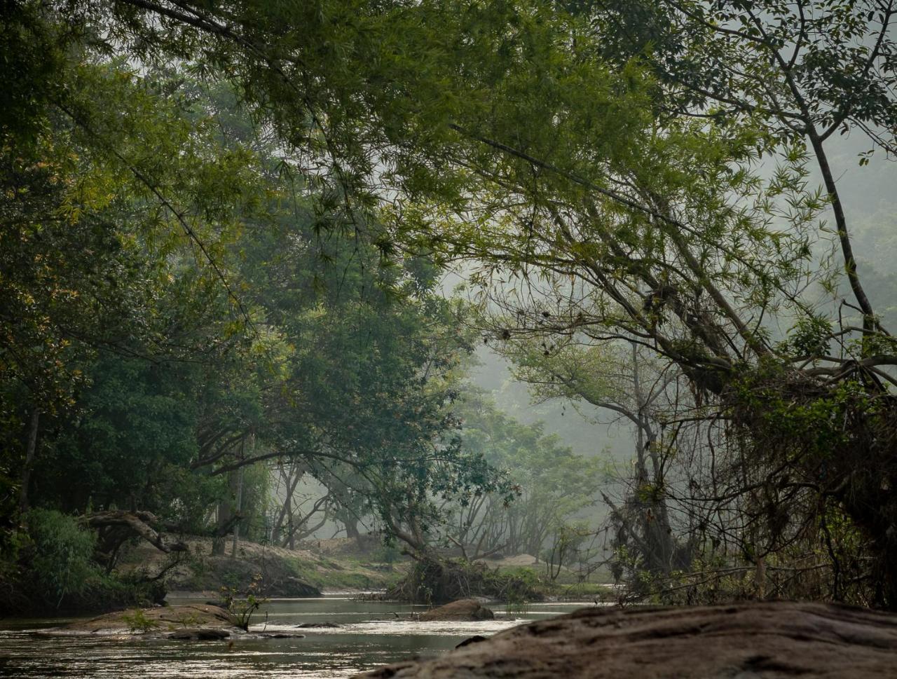 Quiet By The River- Cgh Earth Thodakayam Eksteriør billede